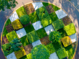 עיצוב גינות גג ושירותי גינון מקצועיים