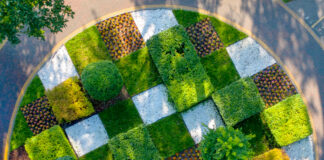 עיצוב גינות גג ושירותי גינון מקצועיים