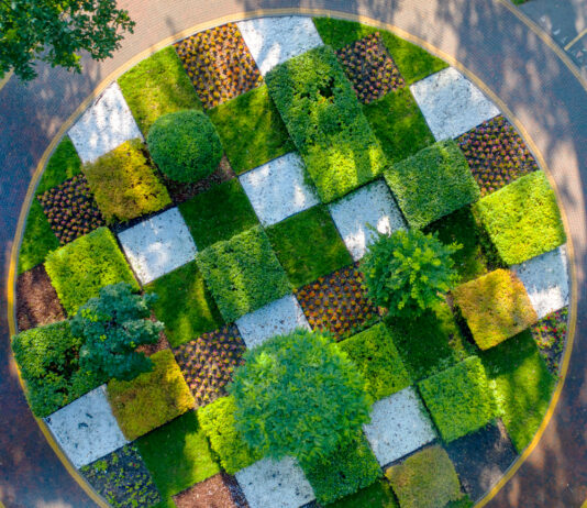 עיצוב גינות גג ושירותי גינון מקצועיים